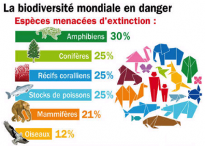 Biodiversité mondiale en danger