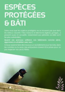 document-especes-protegees-bati